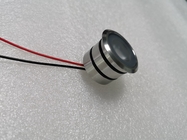 1W LED Deck Light glazed Lens 316 Materiale in acciaio inossidabile Houing impermeabile IP68