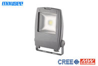 Epistar COB Chip 10W RGB LED Flood luce esterna IP65 per illuminazione di paesaggio