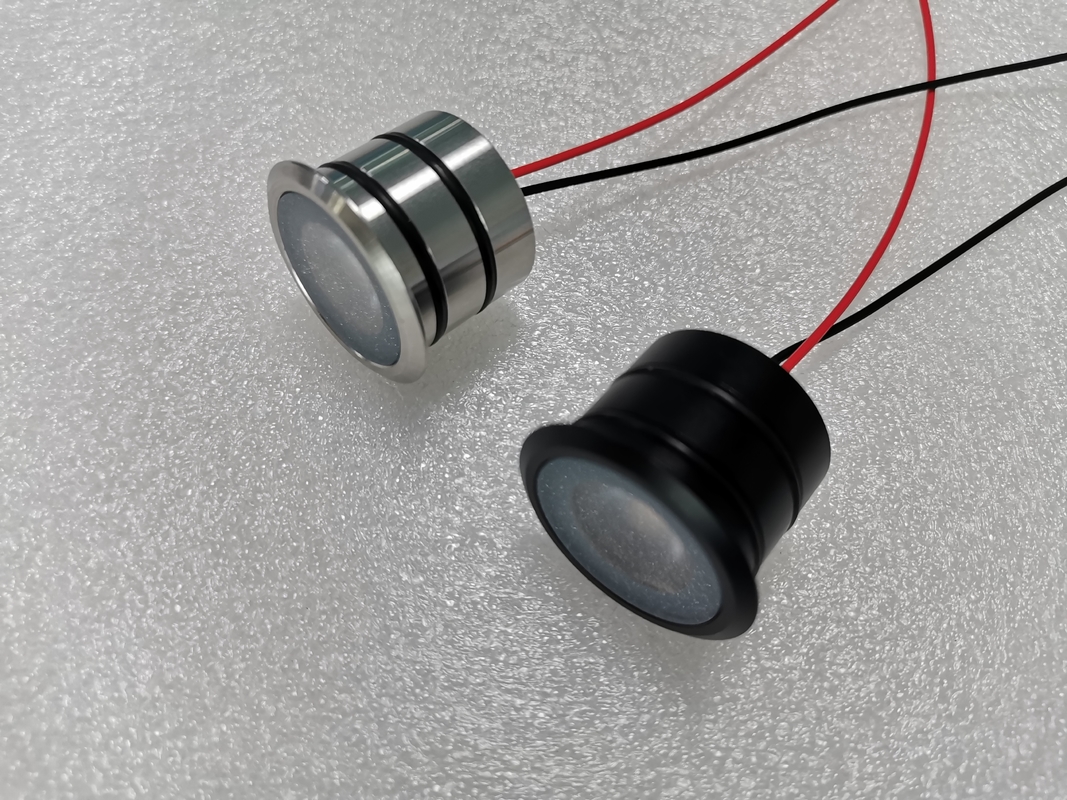 1W 316 SS Houing LED Spot Light Finitura nera/brass/oro IP68 Luce subacquea